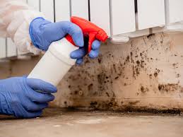 Best Forensic Mold Investigation  in La Salle, CO